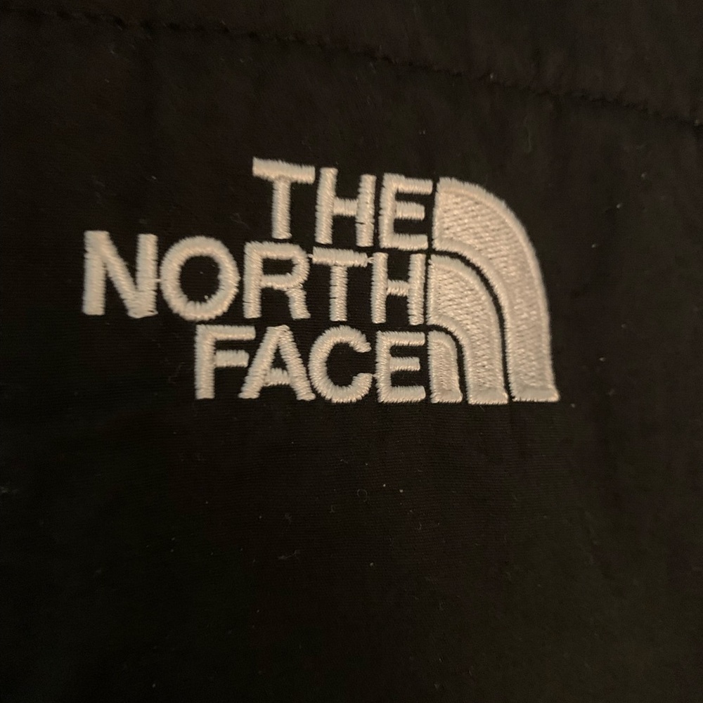 The North face Danali